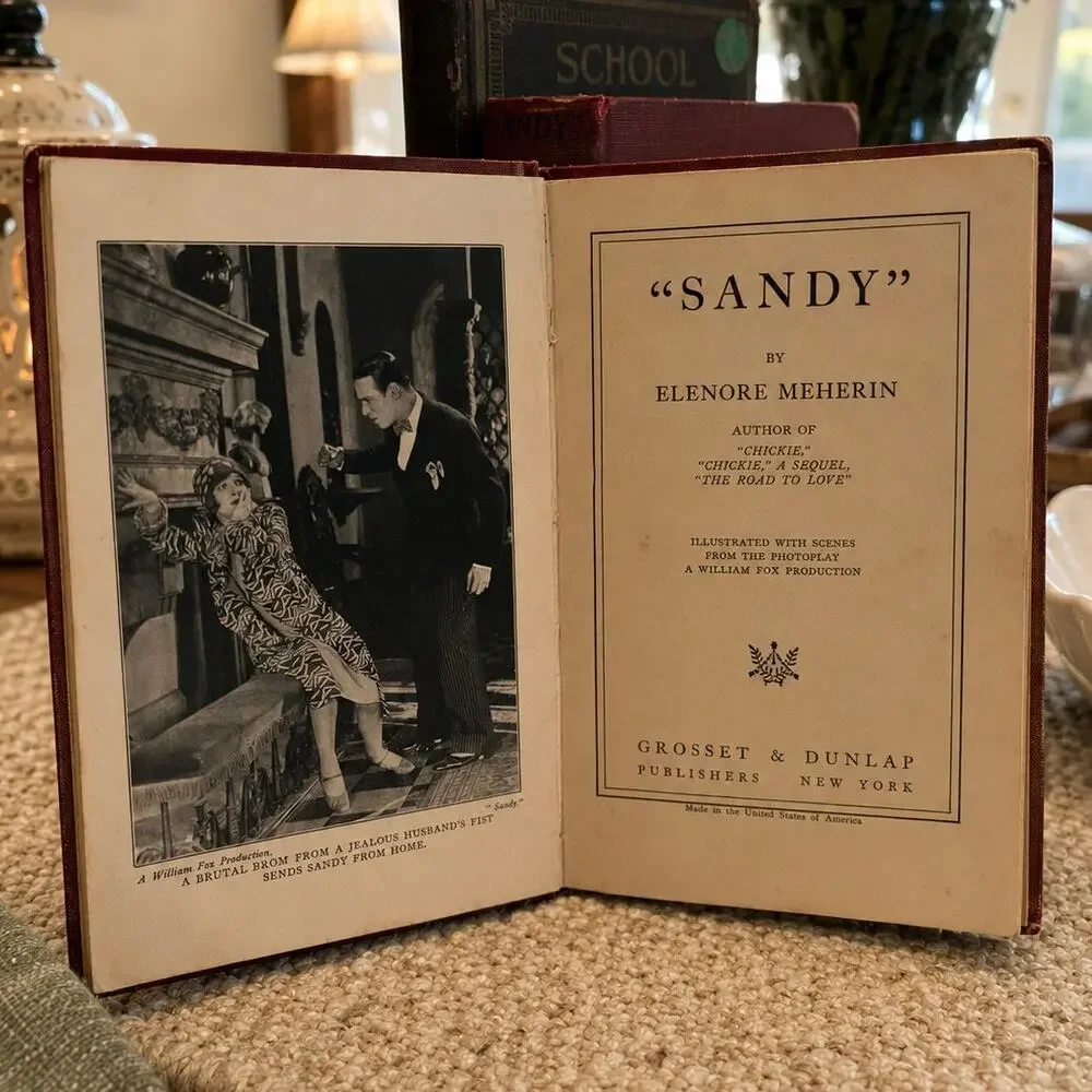 Antique Book - Sandy by Elenore Meherin, 1926